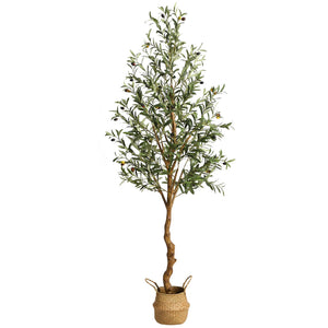 6ft-1Pc-with Basket