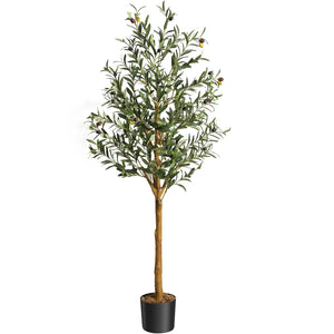 5ft-1pc