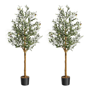 5ft-2Pcs
