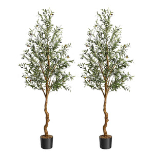 6ft-2Pcs